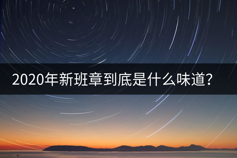 2020年新班章到底是什么味道？-易武中聘號(hào)