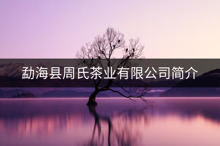 勐?？h周氏茶業(yè)有限公司簡(jiǎn)介