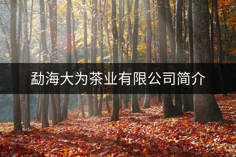 勐海大為茶業(yè)有限公司簡介