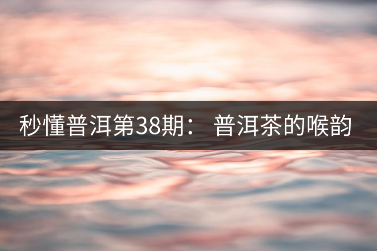 秒懂普洱第38期： 普洱茶的喉韻是什么？