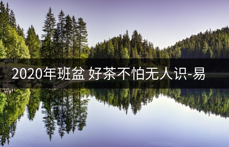 2020年班盆 好茶不怕無人識(shí)-易武中聘號(hào)