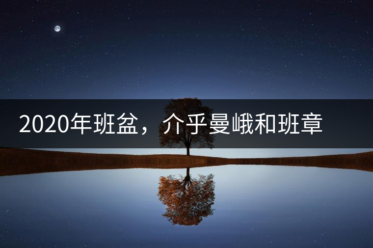 2020年班盆，介乎曼峨和班章間的“老漢子”-易武中聘號(hào)
