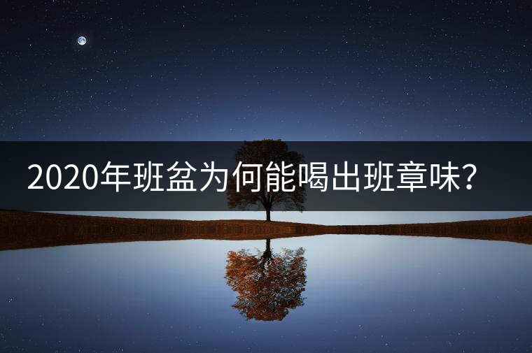 2020年班盆為何能喝出班章味？-易武中聘號(hào)
