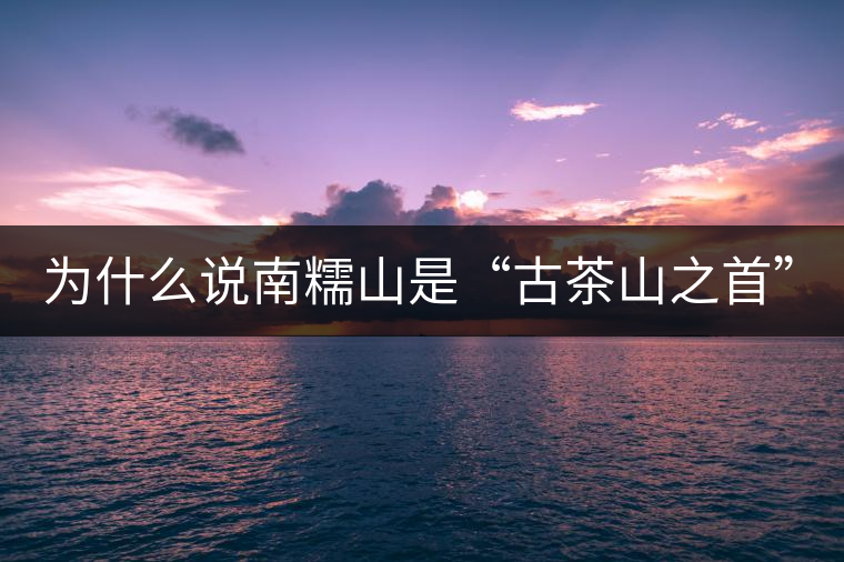 為什么說南糯山是“古茶山之首”？