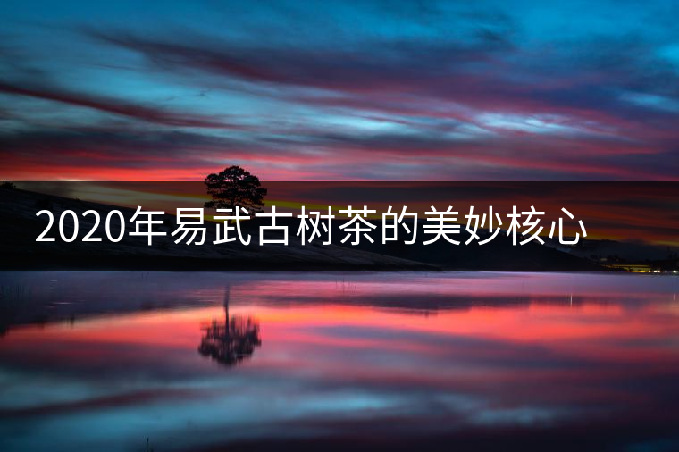 2020年易武古樹茶的美妙核心 -易武中聘號 2020年易武古樹茶的美妙核心 -易武中聘號