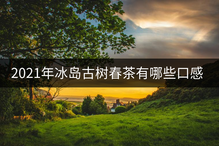 2021年冰島古樹(shù)春茶有哪些口感? 2021年冰島古樹(shù)春茶有哪些口感?