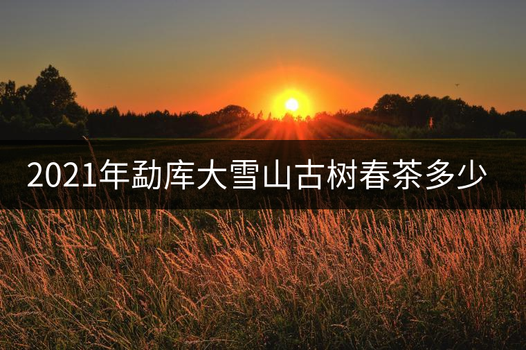 2021年勐庫(kù)大雪山古樹(shù)春茶多少錢(qián)一公斤？