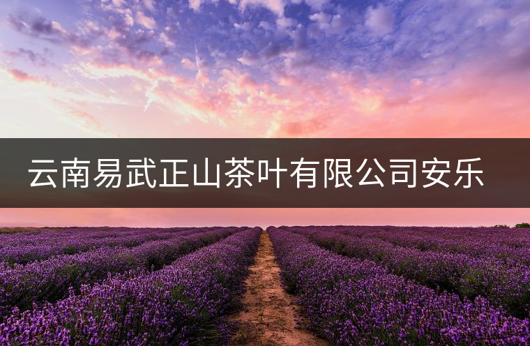 云南易武正山茶葉有限公司安樂茶莊同慶茶廠簡(jiǎn)介