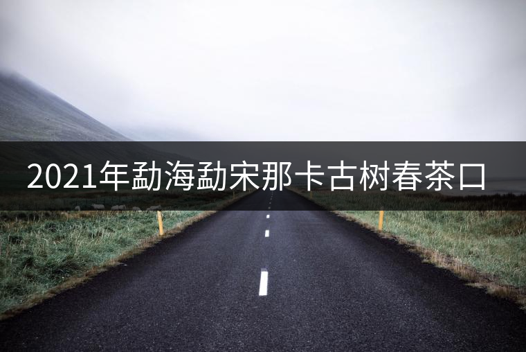 2021年勐海勐宋那卡古樹春茶口感？