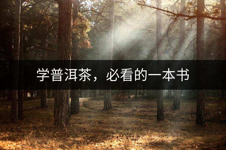 學普洱茶，必看的一本書