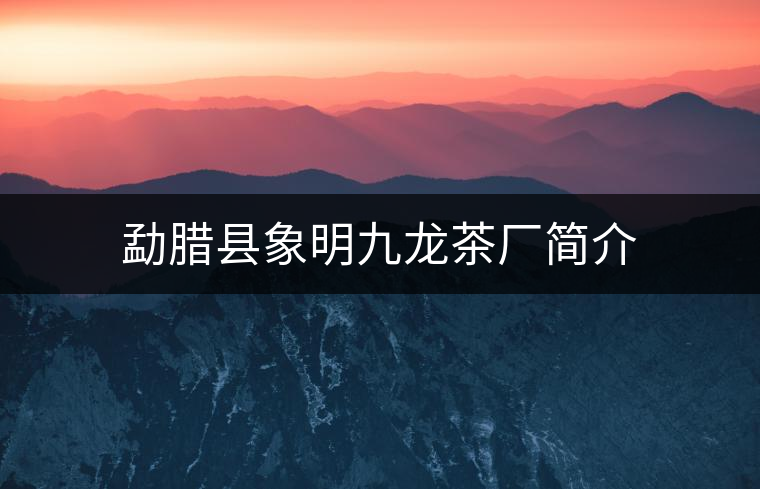 勐臘縣象明九龍茶廠簡(jiǎn)介