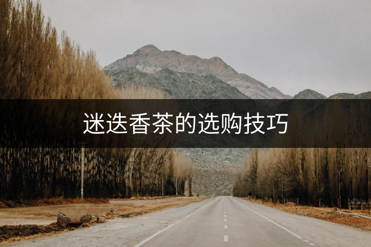 迷迭香茶的選購技巧