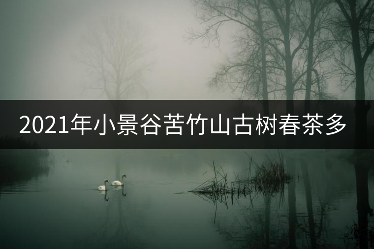 2021年小景谷苦竹山古樹春茶多少錢一公斤？