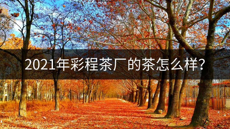 2021年彩程茶廠的茶怎么樣？
