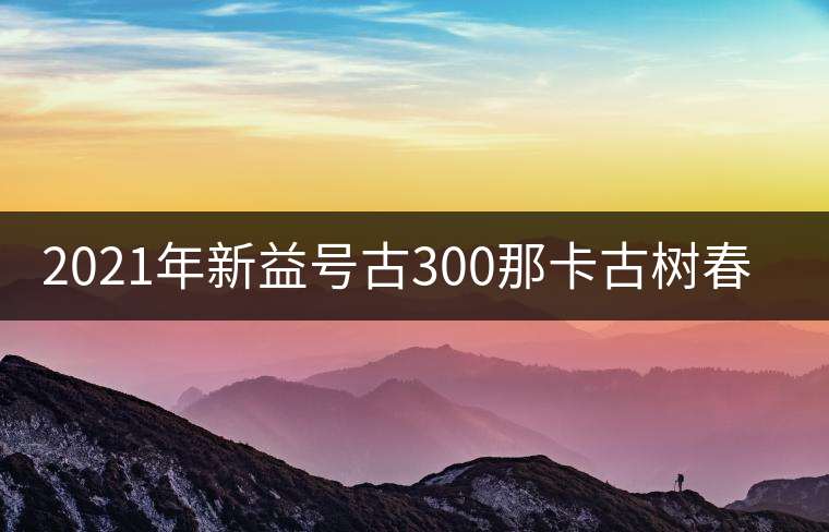 2021年新益號(hào)古300那卡古樹(shù)春茶口感怎么樣？