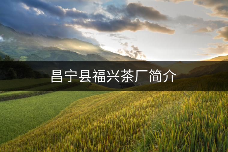 昌寧縣福興茶廠簡介