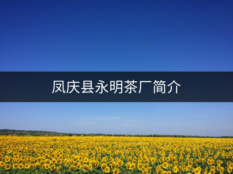 鳳慶縣永明茶廠(chǎng)簡(jiǎn)介