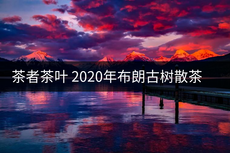 茶者茶葉 2020年布朗古樹散茶  性價比怎么樣？