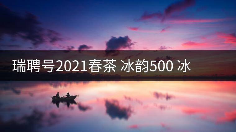 瑞聘號2021春茶 冰韻500 冰島頭春古樹茶口感好不好？
