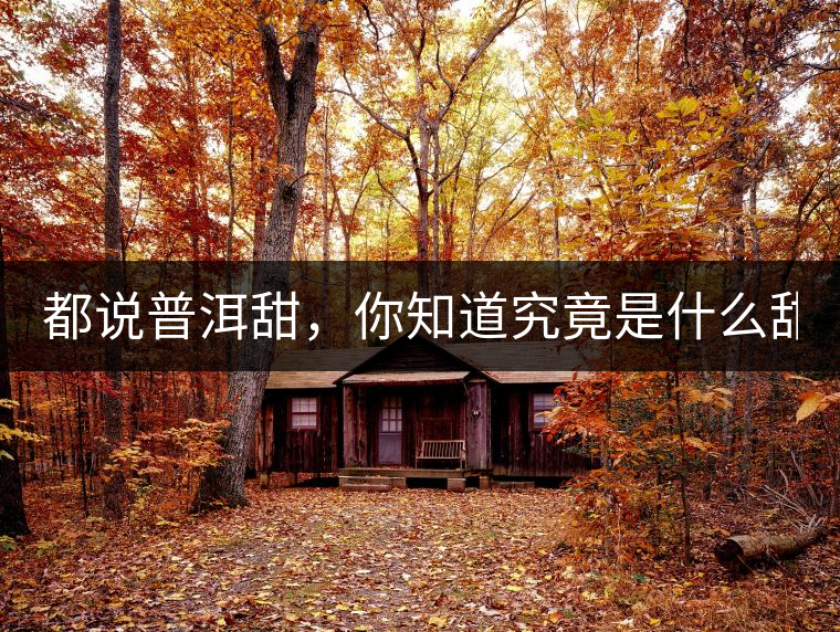 都說普洱甜，你知道究竟是什么甜嗎？