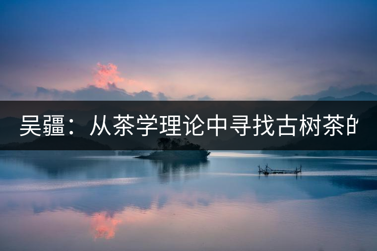 吳疆：從茶學(xué)理論中尋找古樹(shù)茶的鑒別方法？（讀書(shū)筆記3）