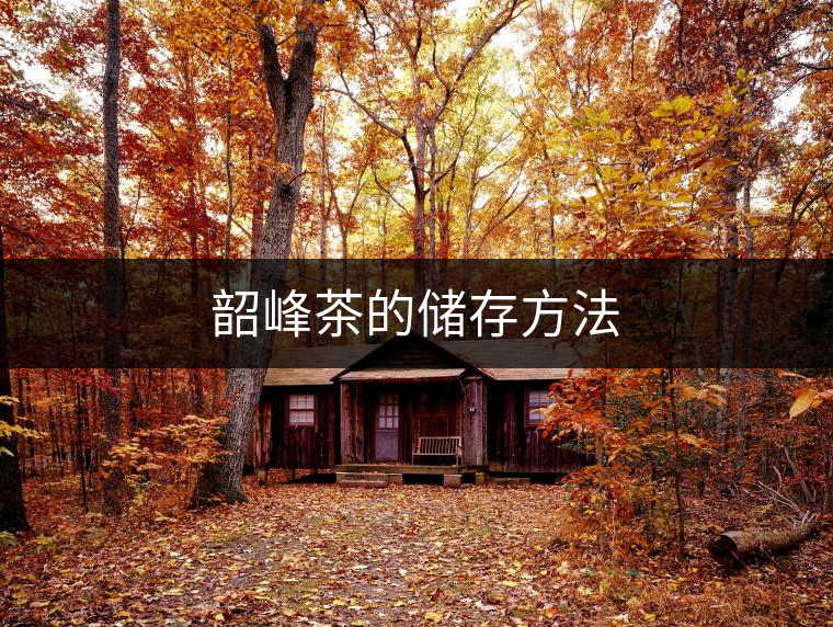 韶峰茶的儲(chǔ)存方法 韶峰茶的儲(chǔ)存方法