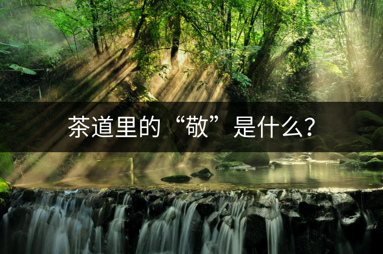 茶道里的“敬”是什么? 茶道里的“敬”是什么?