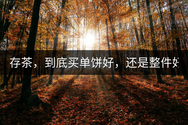 存茶，到底買單餅好，還是整件好？