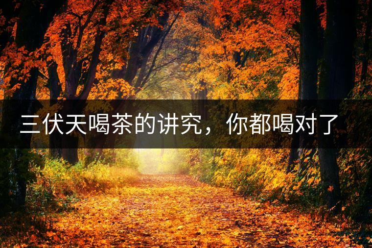 三伏天喝茶的講究，你都喝對(duì)了嗎？