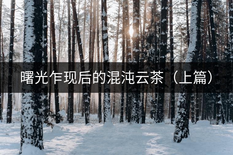 曙光乍現后的混沌云茶（上篇）