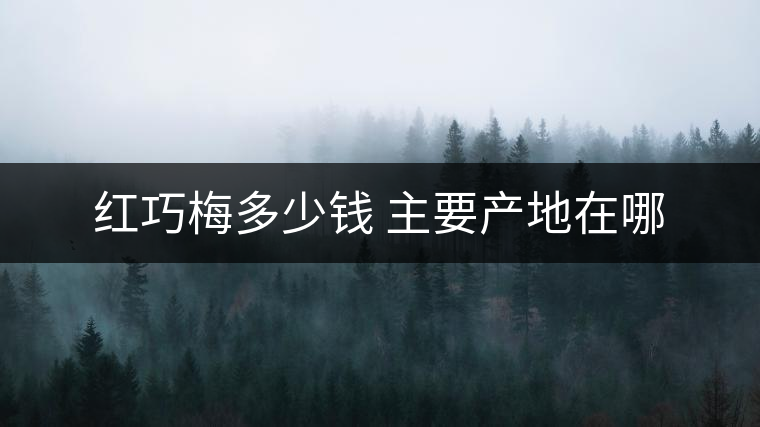 紅巧梅多少錢(qián) 主要產(chǎn)地在哪 紅巧梅多少錢(qián) 主要產(chǎn)地在哪