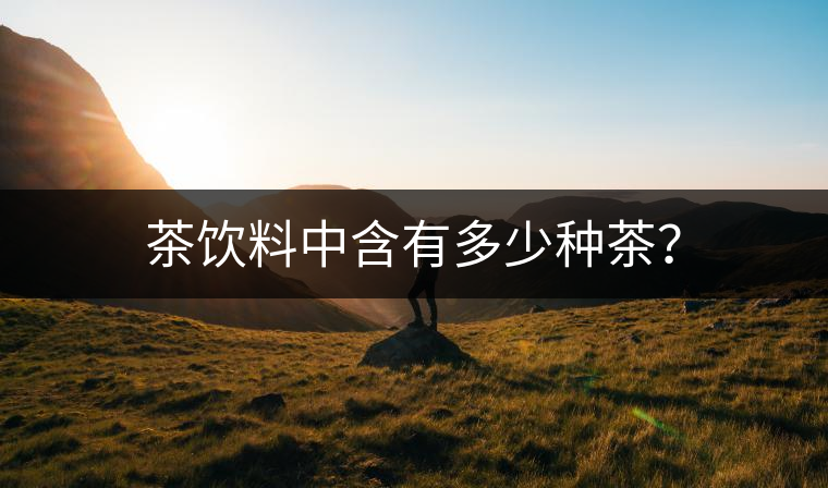 茶飲料中含有多少種茶？