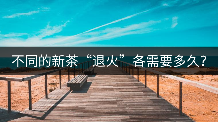 不同的新茶“退火”各需要多久？