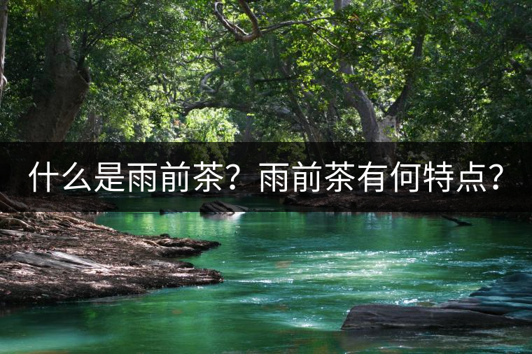 什么是雨前茶？雨前茶有何特點？