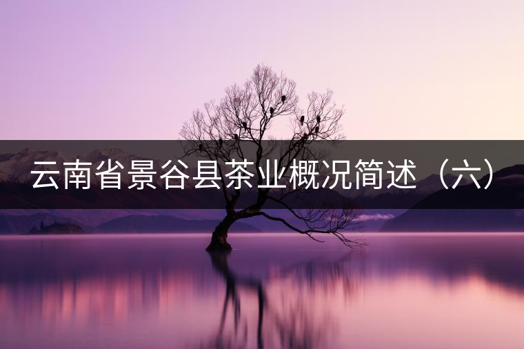 云南省景谷縣茶業(yè)概況簡述(六) 云南省景谷縣茶業(yè)概況簡述(六)