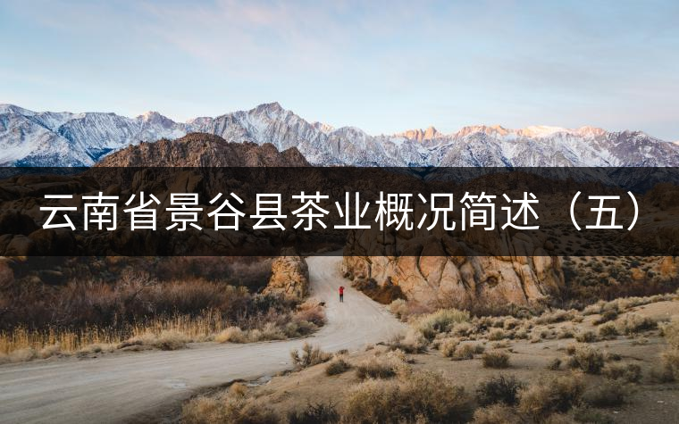 云南省景谷縣茶業(yè)概況簡述（五）