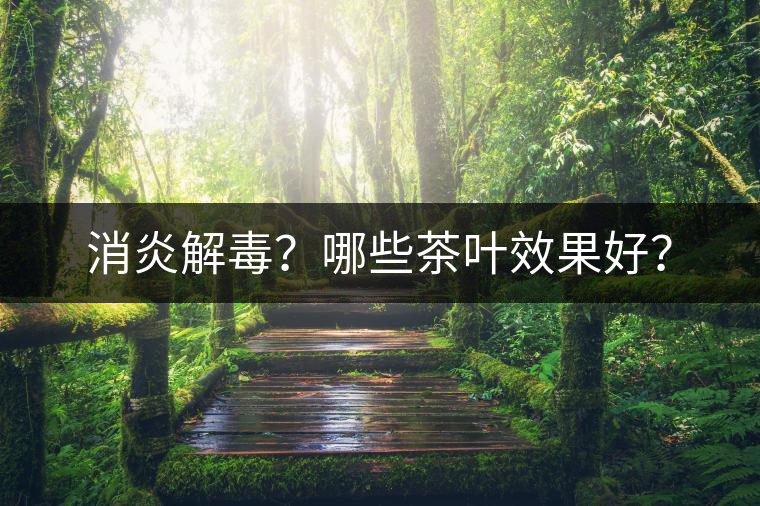 消炎解毒？哪些茶葉效果好？
