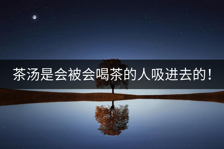 茶湯是會被會喝茶的人吸進去的！