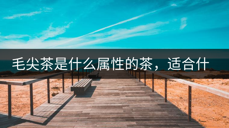 毛尖茶是什么屬性的茶，適合什么群體品飲？