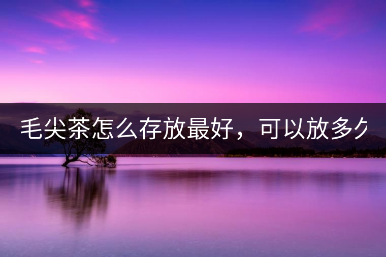 毛尖茶怎么存放最好，可以放多久？