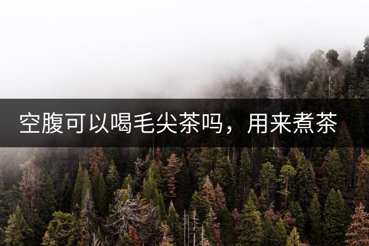 空腹可以喝毛尖茶嗎，用來(lái)煮茶葉蛋怎么樣？