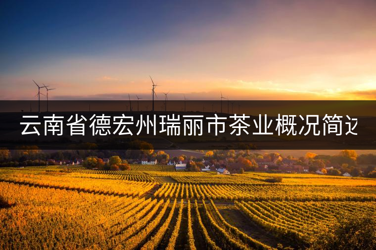 云南省德宏州瑞麗市茶業(yè)概況簡(jiǎn)述(下篇) 云南省德宏州瑞麗市茶業(yè)概況簡(jiǎn)述(下篇)