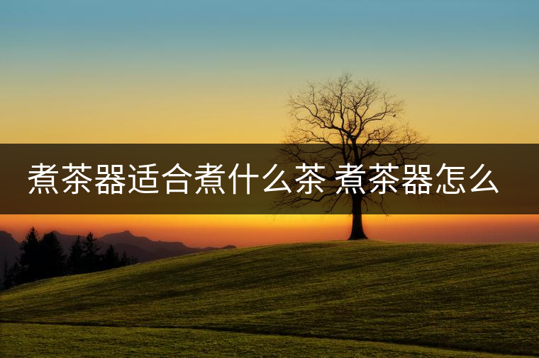 煮茶器適合煮什么茶 煮茶器怎么使用 煮茶器適合煮什么茶 煮茶器怎么使用