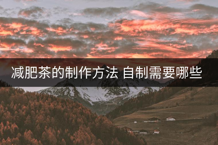 減肥茶的制作方法 自制需要哪些材料?