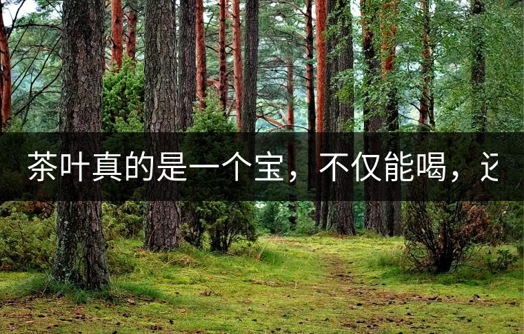 茶葉真的是一個寶，不僅能喝，還能用！