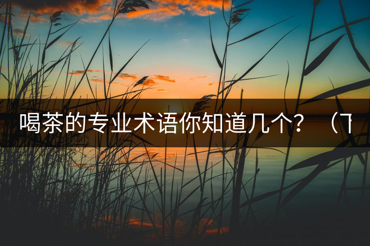 喝茶的專業(yè)術(shù)語你知道幾個？（下篇）