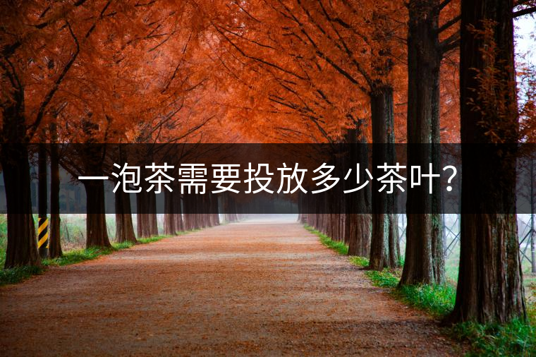 一泡茶需要投放多少茶葉？