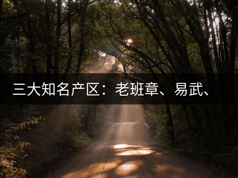 三大知名產(chǎn)區(qū)：老班章、易武、景邁三大茶系都有哪些特點！