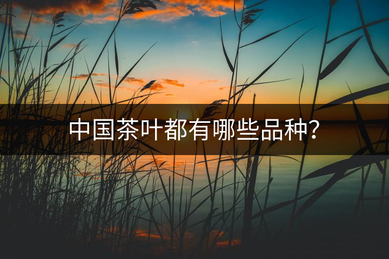 中國茶葉都有哪些品種？