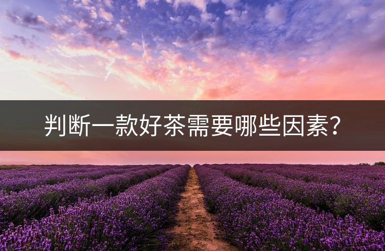判斷一款好茶需要哪些因素？